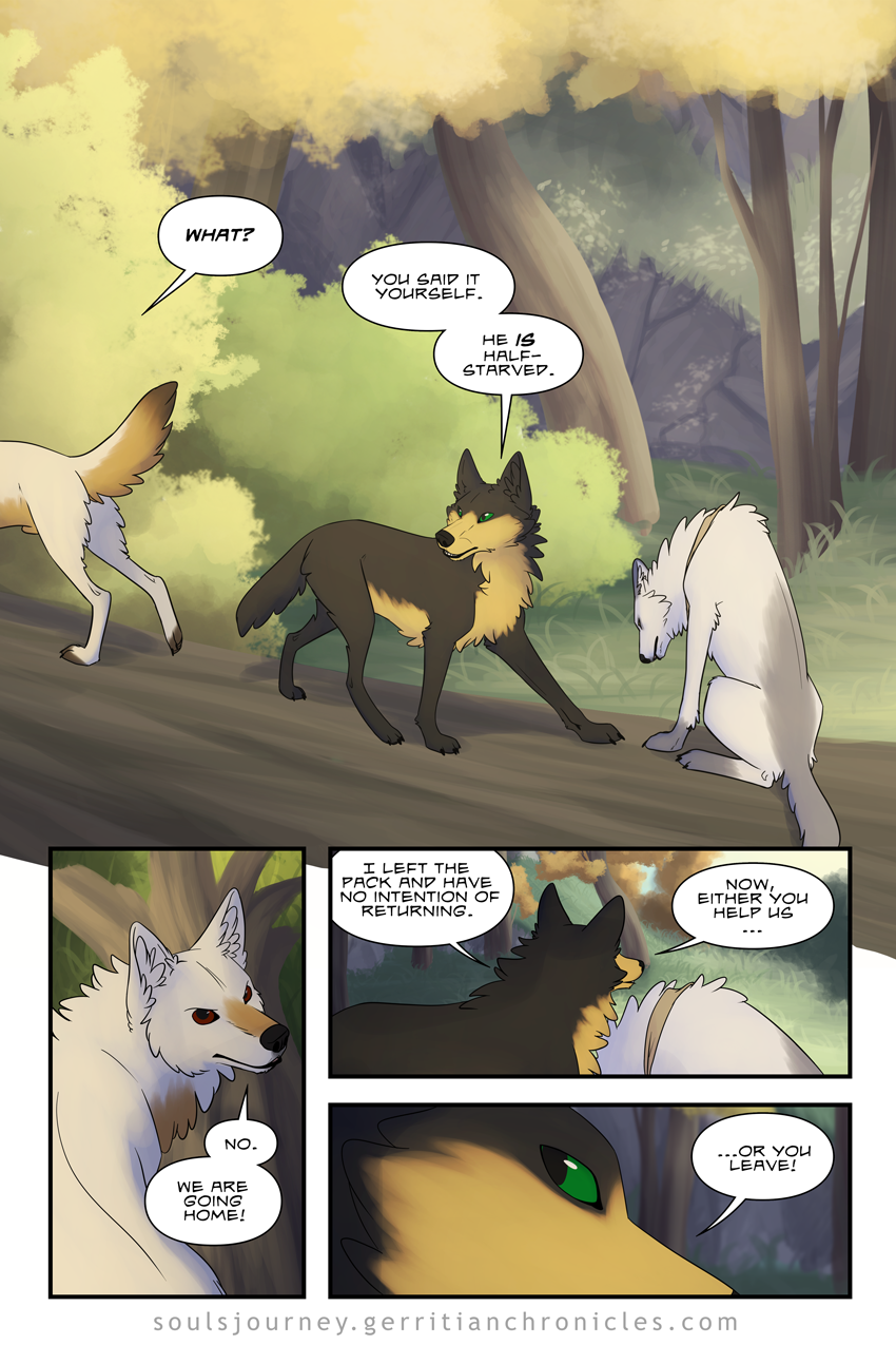 c4-page-8